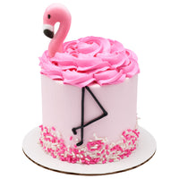 Flamingo Sugar  Head and  Neck Large 6 pk Icing Decons