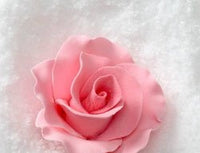 Formal Rose - Pink