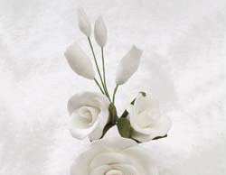 Rose Filler - Medium - White 