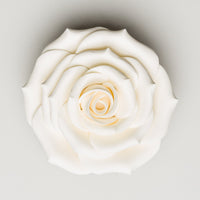Sugar Rose 3.5" White
