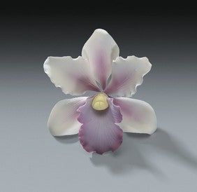Tropical Orchid Gum Paste Flowers