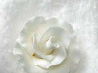 Formal Rose White Flower (2 Sizes) - 1 ½"