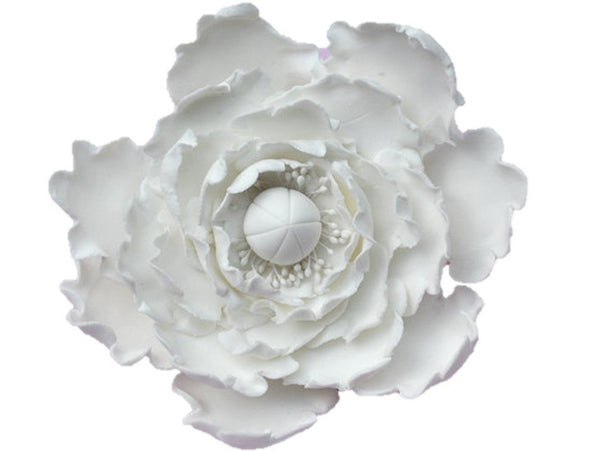 Large White Peony Flower