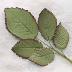Set of 3 Rose Leaf Fillers - Green Gumpaste