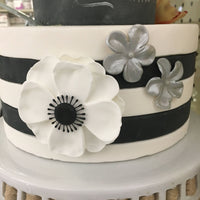 Anemone Flower - 3.25" White & Black Gumpaste