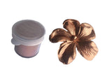 Rose Gold HIGHLIGHTER Dust 2 grams Powder