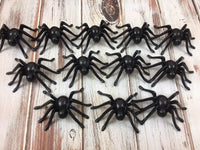 Spider Cupcake Layons